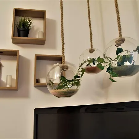 David's & Family Apartmnt Appartamento Fiumicino